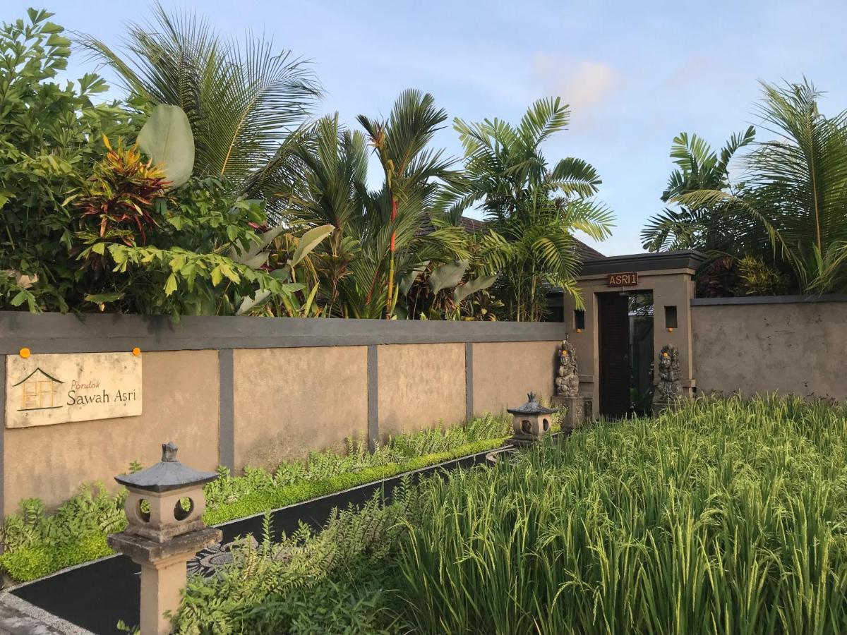 Pondok Sawah Asri Ubud Eksteriør billede